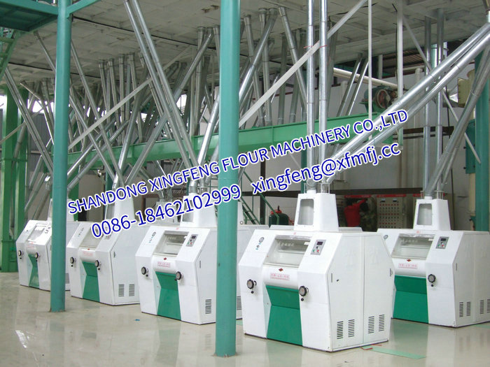 1长时间搁置的面粉机需要怎样的保养