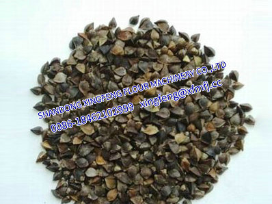 7.1 甜荞原料.jpg