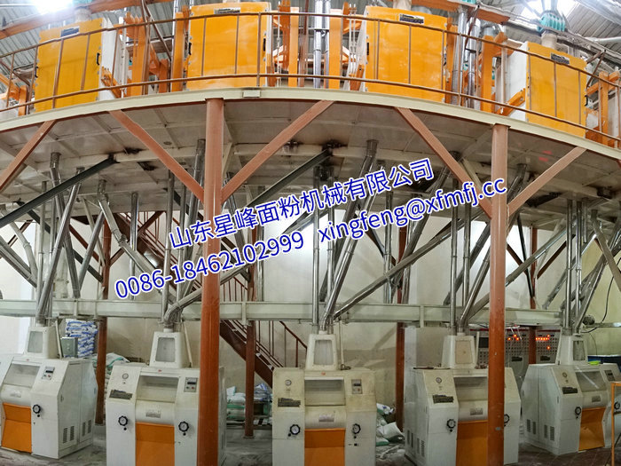 1.3 非洲坦桑尼亚60T 24h玉米粉生产线.jpg