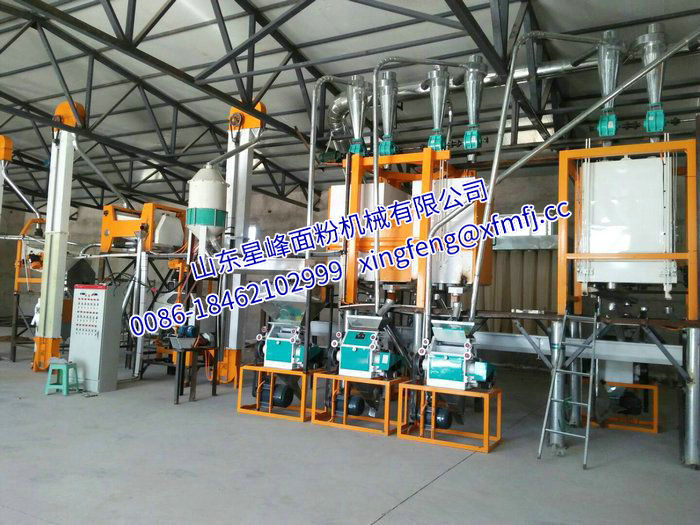 燕麦油麦加工设备