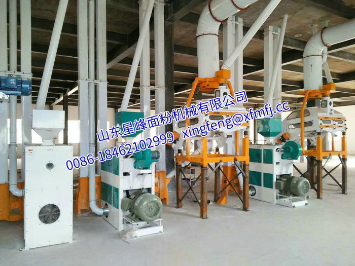 青稞米 青稞粉加工设备